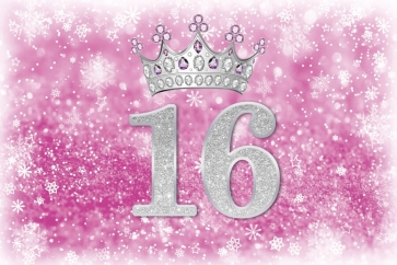 Girl Sweet 16 Birthday Snowflake Backdrop Party Photography Background