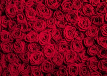 Red Rose Flower Background Valentine's Day Backdrop