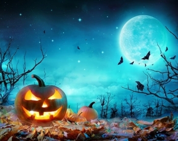 Dry Tree Leaf Pumpkin Theme Halloween Backdrops Studio Photography Background