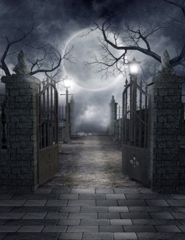 Grey Moon Sky Stone Iron Gate Withered Tree Halloween Backdrops