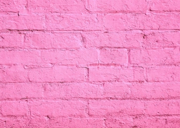 Beautiful Pink Brick Wall Background Party Photography Backdrop