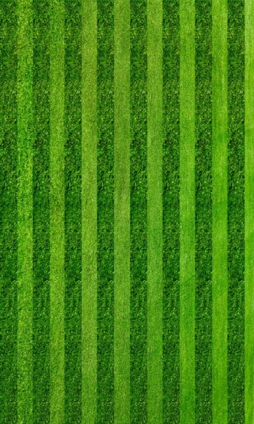 Custom Grass Wall Backdrop Photoshoot Background