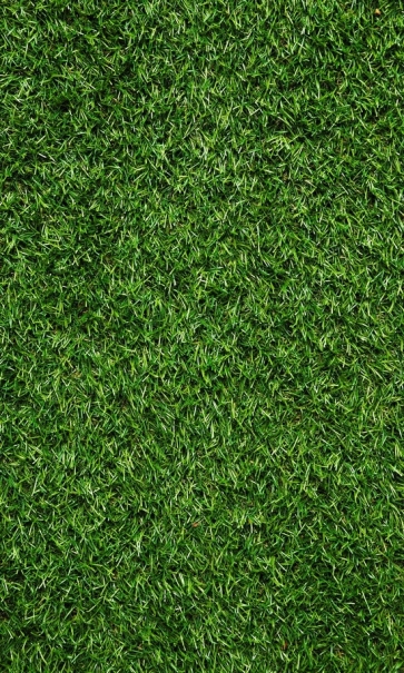  Custom Photography Background Props Grass Wall Backdrop