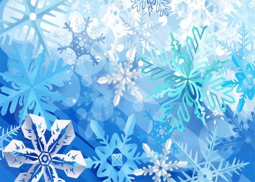 Christmas Snowflake Backdrop Photo Booth Photography Background Stage Decoration Prop