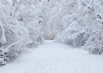 Winter Snow Covered Wonderland Backdrop Christmas Party Photography Background