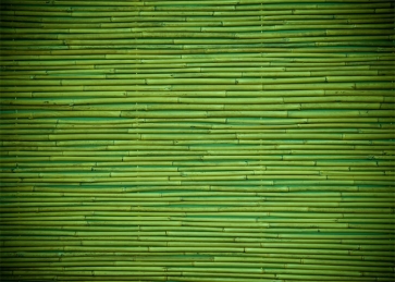 Green Bamboo Stick Backdrop Photo Booth Studio Photography Background Decoration Prop