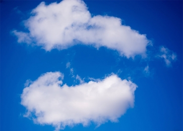 Blue Sky Two Flowers White Cloud Backdrop Photo Booth Photography Background Decoration Prop