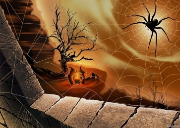 Large Spider Web Halloween Backdrop Photo Booth Photography Background Stage Decoration Prop