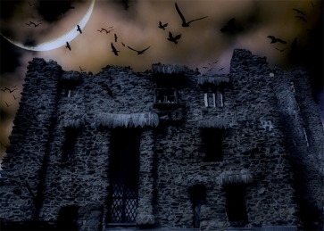 Scary Dark Castle Crow Flight Halloween Backdrop Stage Photo Booth Photography Background