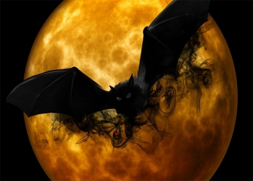 Gold Moon Huge Dark Bat Halloween Photo Backdrop Party Decoration Prop Background