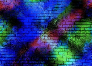 Personalise Colorful Brick Wall Backdrop Studio Video Photography Background Decoration Prop