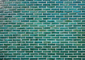 Retro Personalise Green Brick Wall Backdrop Studio Video Photography Background Decoration Prop