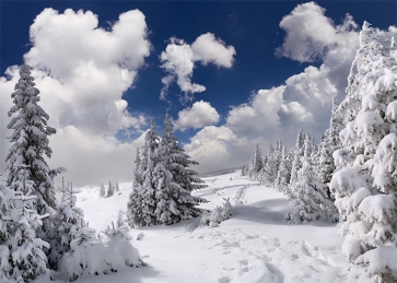 Snow Covered Winter Wonderland Backdrop Christmas Party Photography Background