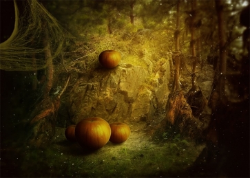 Spider Web Winding Pumpkin Theme Halloween Backdrop Decoration Prop Photography Background