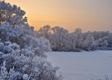 In The Sunset Snow Covered Winter Scene Backdrops Christmas Photography Background