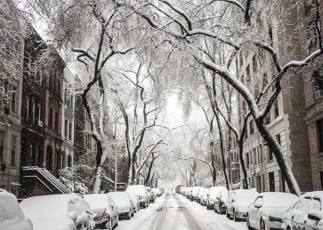 Snow Covered Street Winter Scene Backdrops Christmas Photography Background