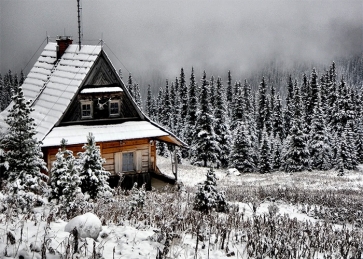 Snow Covered Forest Wood House Winter Scene Backdrops Christmas Photography Background