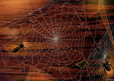 Spider Web Wood Wall Halloween Backdrop Party Prop Photography Background