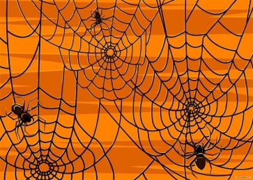 Black Spider Web Around Halloween Party Backdrop Photography Background