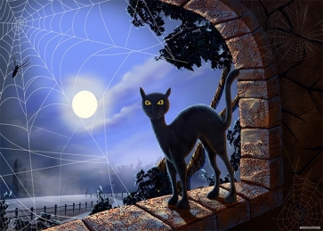 Spider Web Black Cat On Stone Windowsill Halloween Backdrop Photography Background