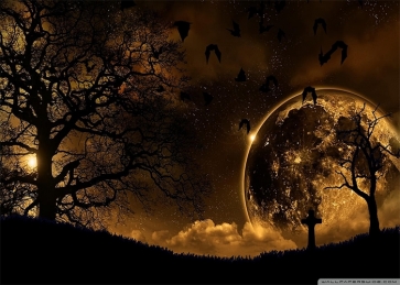 Under The Gold Moon Dark Night Forest Halloween Party Backdrop Studio Photography Background
