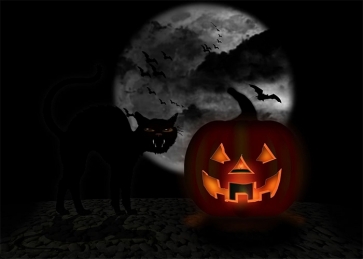 Terror Dark Cat Scary Pumpkin Halloween Backdrop Studio Stage Photography Background