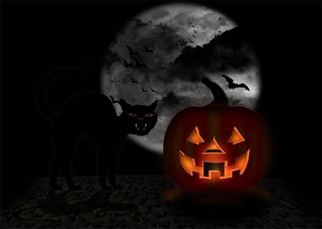 Terror Dark Cat Scary Pumpkin Halloween Backdrop Studio Stage