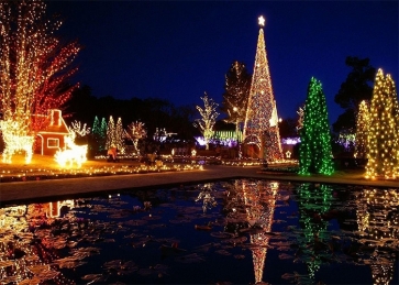 Outdoor Christmas Night Light Decoration Tree Scene Backdrop Stage ...