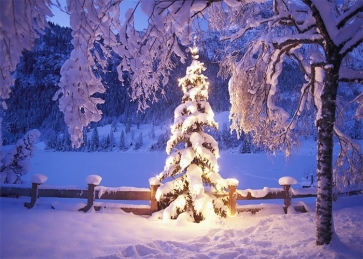 Winter Snow Covered Forest Light Decoration Christmas Tree Backdrop