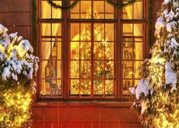 Glass Window Gold Lights Christmas Tree Backdrop Photo Booth Stage Photography Background