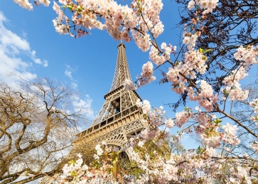 Cherry Blossoms Paris Eiffel Tower Backdrop Studio Stage Photography Background