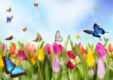 Colorful Flower Butterfly Backdrop Baby Shower Birthday Party Photography Background