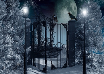 Street Lamp Lron Fence Gate Crow Halloween Backdrop Party Stage Photography Background