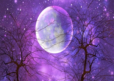Purple Sky Stars Large Full Moon Backdrop Party Stage Studio Photography Background
