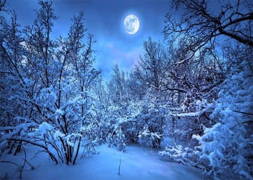 Night Snow Covered Forest Winter Scene Backdrop Christmas Party Photography Background