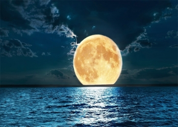 At Night Gold Full Moon Backdrop Party Stage Studio Photography Background
