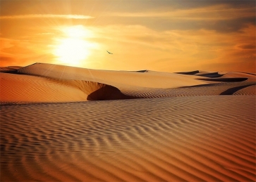 In The Sunset Desert Backdrop Stage Party Photography Background