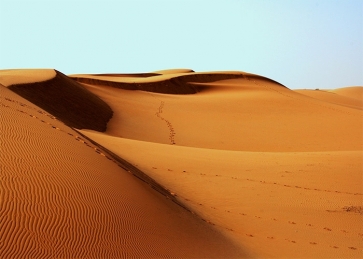  Desert Scenic Backdrop Stage Party Photography Background