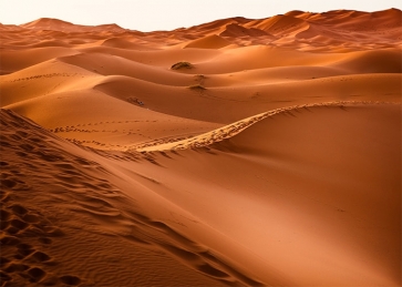 Wavy Sand Pile Desert Backdrop For Stage Photography Background