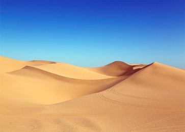 Blue Sky Desert Scenic Backdrop Stage Party Photography Background