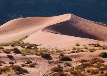 Green Plants Desert Scenic Backdrop Stage Party Photography Background