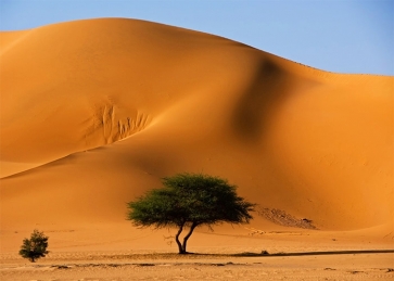 Fine Sand Pile Scenic Desert Backdrop Stage Party Photography Background