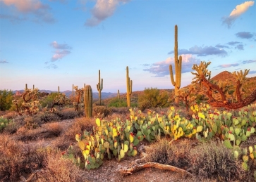 Blue Sky White Cloud Desert Cactus Backdrop Stage Party Photography Background