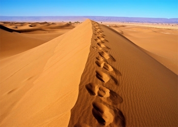 Footprint Desert Scenic Backdrop For Stage Photography Background