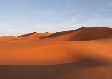 Brown Sand Scenic Desert Backdrop For Stage Photography Background