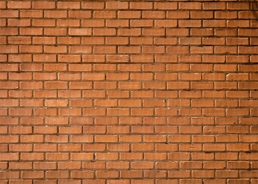 Outdoor Retro Brown Rustic Brick Wall Backdrops Studio Party Photography Background