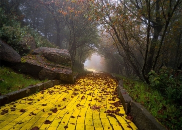 Yellow Brick Road Backdrop Scenic Stage Party Photography Background