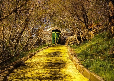 Autumn Forest Yellow Brick Road Backdrop Stage Party Photography Background 