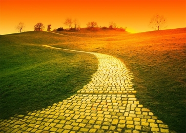 Green Grass Yellow Brick Road Backdrop Stage Party Photography Background