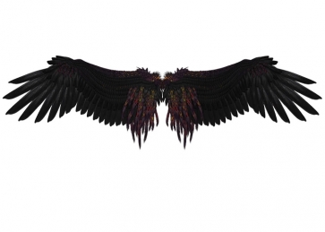 Black Angel Wings Photo Backdrop Studio Photography Background